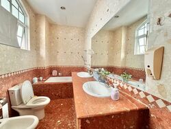 sunbird-road photo thumbnail #9
